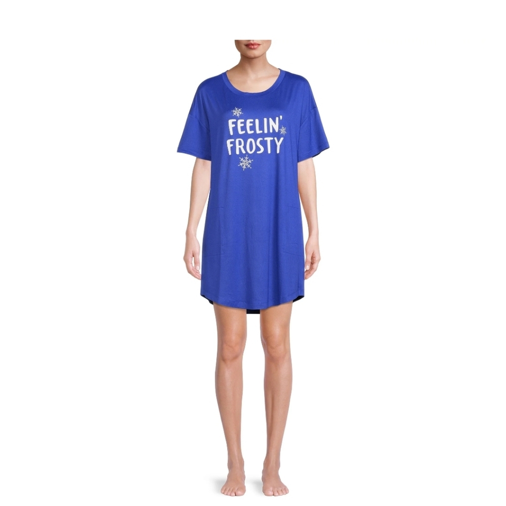NWT Secret Treasures Women's Frosty Sleep Shirt